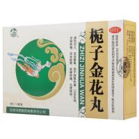 河西栀子金花丸9g*10袋/盒清热泻火凉血解毒用于肺胃热盛