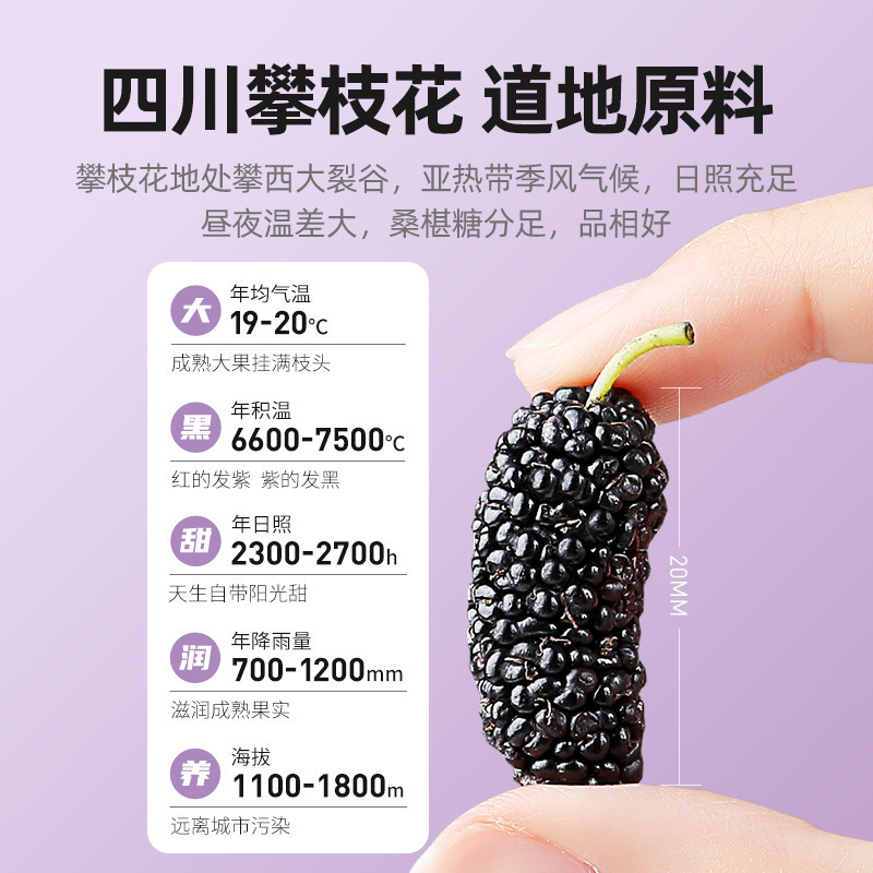 杞里香200g紫罐甄选桑葚干搭配枸杞泡茶养成茶饮黑桑葚手选桑椹干泡水花果茶养生茶官方旗舰店高清大图