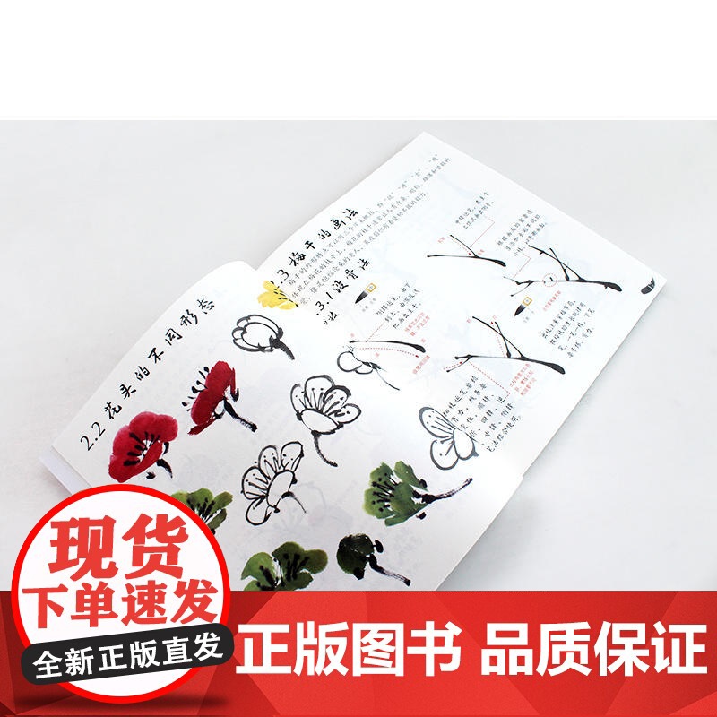 新手学国画 大字大图版 花卉综合 国画绘画修养和技法 中老年人国画基础教程书籍工笔画白描水墨画技法写意画入门教材花卉一本高清大图
