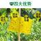 诱虫板蔬菜大棚粘虫板灭小飞虫特粘双面粘虫板茶园花果树粘虫黄板|20*25覆膜黄板60张