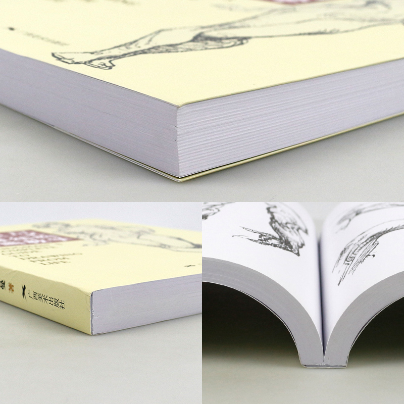 伯里曼人体结构绘画教学 白金版 (美)乔治·伯里曼 著 晓鸥,辛昕,小野 译 艺术 文轩网