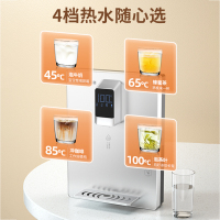 志高(CHIGO)家用管线机壁挂式饮水机速热即热式无胆直饮净水器搭档 CG-BGX-S6