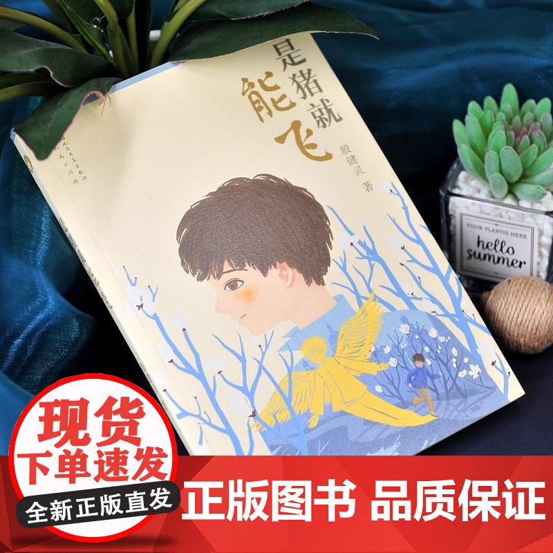 是猪就能飞 殷健灵著 儿童成长励志小说心灵教育启蒙读物三四五六年级小学生课外阅读儿童文学书籍正版 天天出版社正版高清大图