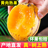 [熊猫鸟]甘肃民勤沙漠人参果 净重3斤 大果 新鲜水果整箱一级人生果