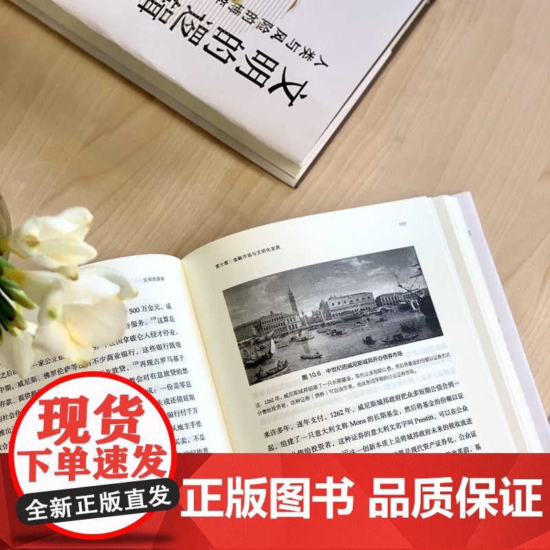 文明的逻辑 人类与风险的博弈 陈志武著 钱颖一 周黎安 张军 联袂 经济 历史发展 风险博弈高清大图