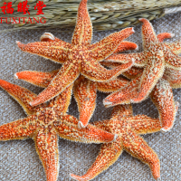 福曦堂 干海星 海星 海南海星 海南干海星 泡酒料 可搭配海马 海龙等 海星 250克*1袋