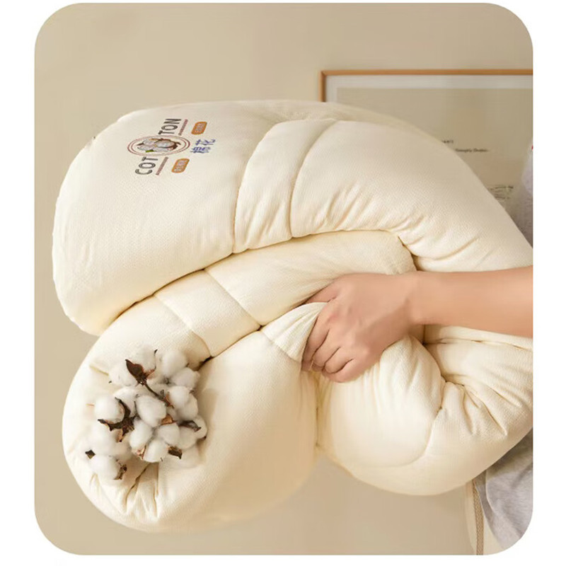 悠梦嘉居 西域提花棉花被 灰白空间 200*230cm YB-15105高清大图