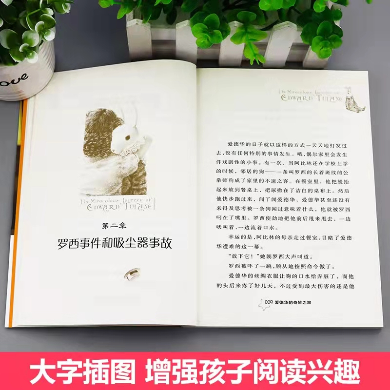 爱德华的奇妙之旅 [正版]爱德华的奇妙之旅新蕾出版社美凯特迪卡国际大奖小说三四五六年级中小学生课外小说故事书籍6-9-1