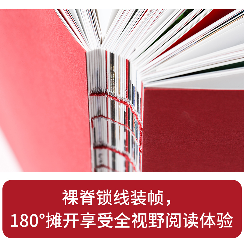 这里是中国 [正版]央视网这里是中国 文津图书奖获奖作品 18个关于中国的独特话题 365张代表性高清摄影作品 WX高清大图