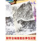 沈石溪动物小说全集感悟生命书系 全套8册狼国女王五彩龙鸟雪域豹影红豺7-12-15岁儿童文学中小学生