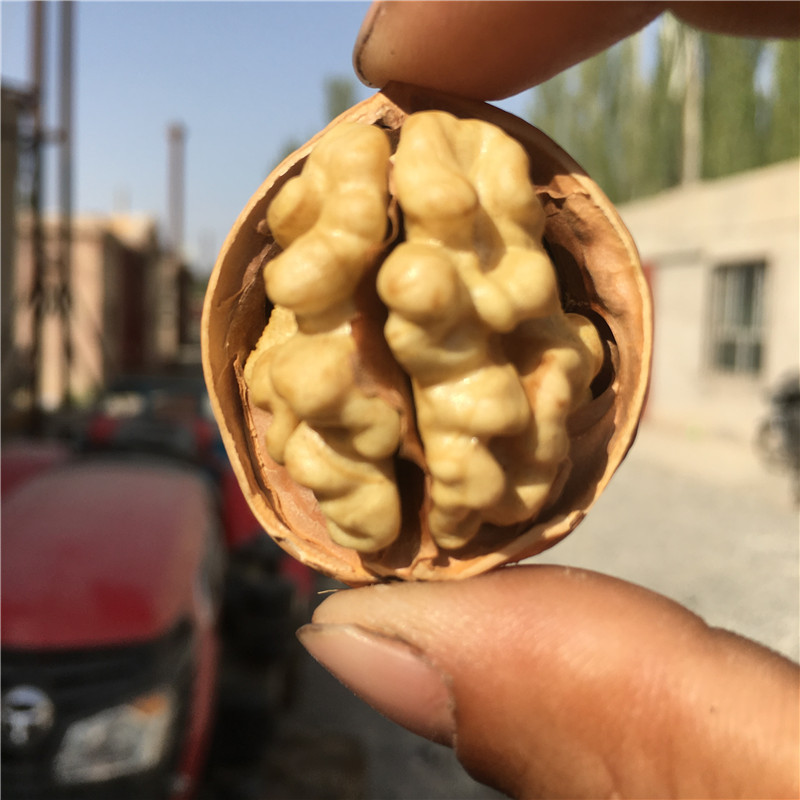 [卿卿雨]新疆阿克苏185纸皮核桃500克/袋 颗颗精选 无坏果