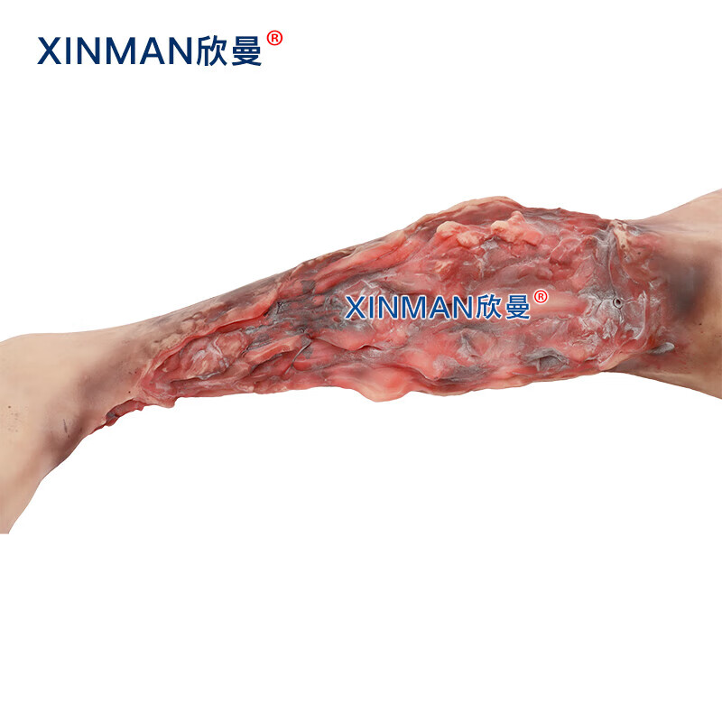 欣曼科教 穿戴式出血止血训练模型 战救技能模拟训练组合模块 战创伤救治技术练习模型 教学用XM-ZXTA高清大图