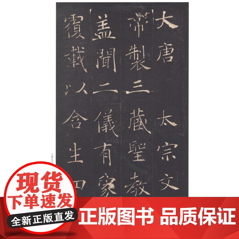 诸遂良雁塔圣教序/褚遂良阴符经 经典碑帖全本放大上海书画出版社 书法毛笔字高清临摹字帖高清大图