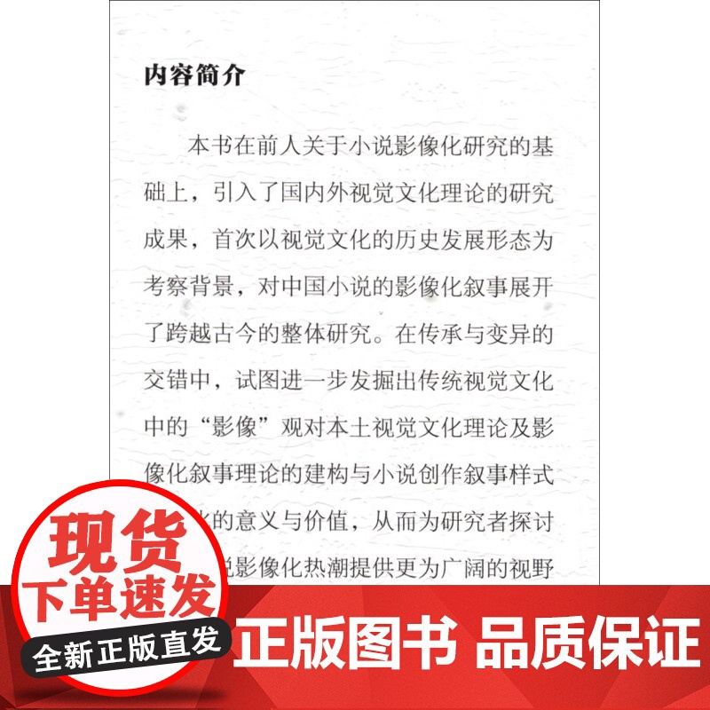 视觉文化与小说的影像化叙事 冯勤 著 艺术高清大图