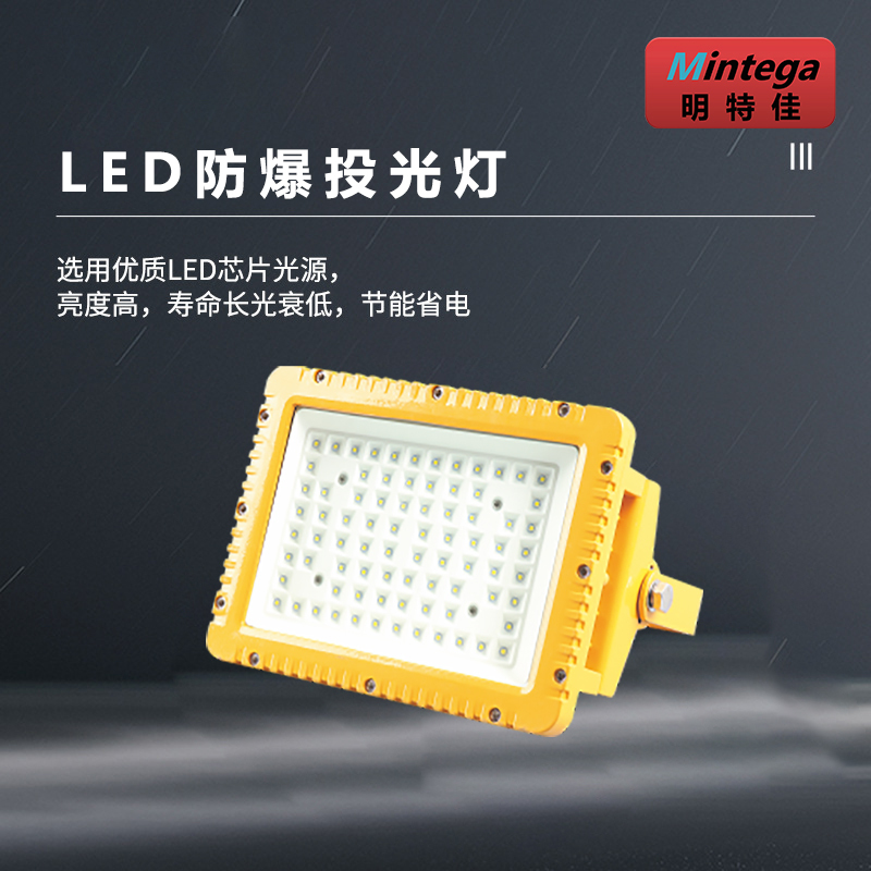 明特佳-Mintega FTD8201-L100 LED防爆投光灯 100W 黄色 (单位:套)