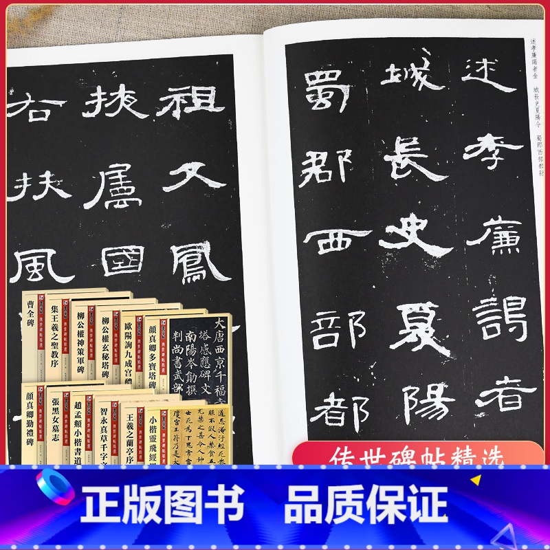 [正版]墨点字帖 传世碑帖精选12本 赵孟頫颜真卿柳公权欧阳询王羲之小楷多宝塔勤礼碑九成宫玄秘塔墓志灵飞经千字文兰亭序高清大图