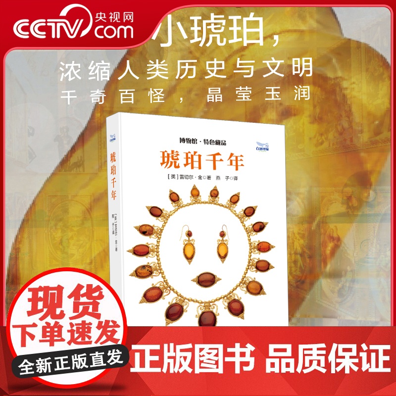 [央视网]琥珀千年 探索琥珀背后的历史文化与科学奥秘 带你领略琥珀从形成到收藏的全过程深度解析 琥珀的科学科普读物书籍高清大图