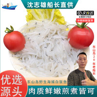 沈志雄东山岛海鲜鲜活速冻小银鱼无刺海捕250g/盒共500g