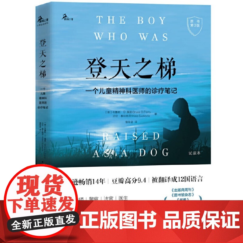 登天之梯:一个儿童精神科医师的诊疗笔记(原书第3版)正版书籍