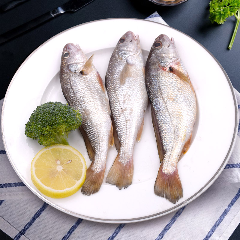 优质东海野生海鲜套餐b带鱼500g马鲛鱼中段300g白姑鱼300g小鲳鱼200克