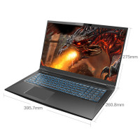 机械革命（MECHREVO）蛟龙P AMD 17.3英寸游戏本笔记本电脑定制版本(R7-4800H 32G 2TB固态 RTX2060 6G 72高色域 144HZ)