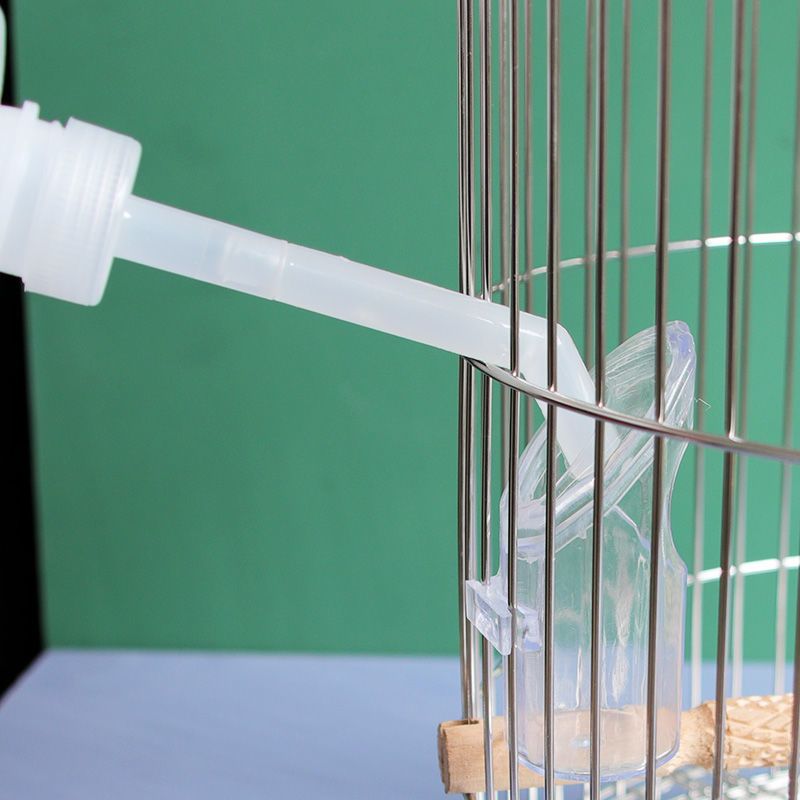 透明加水器1个1个鸟用品用具专用导水器加水神器鸟笼加水器加水头注水