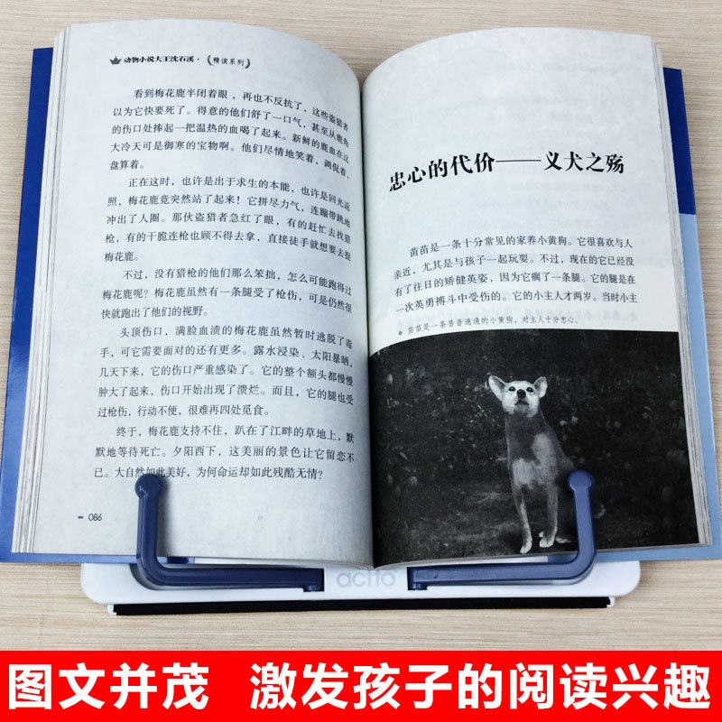 正版[沈石溪动物小说]全套12册 [正版]全套12册沈石溪动物小说全集系列儿童文学课外书9-10-12-15岁适合中小学