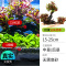 鱼缸造景莫斯沉木水榕无土植物懒人增氧真水草趴地矮珍珠陀草
