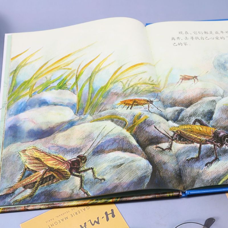 好斗乐师蟋蟀 [正版]昆虫绘美绘本好斗乐师 儿童绘本科普百科精装硬壳硬皮 3-6岁儿童阅读 亲子阅读幼儿早教启蒙科普绘本高清大图