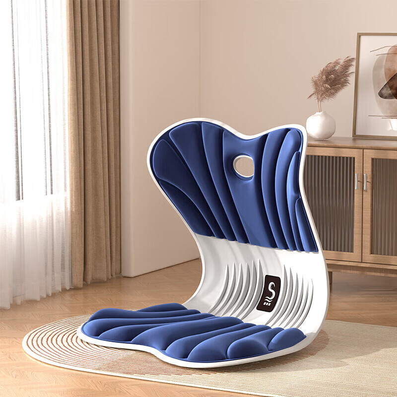 思菲其护腰坐垫超大款护腰久坐神器办公室椅垫支撑腰部升级加大加厚座垫 运动蓝D505高清大图