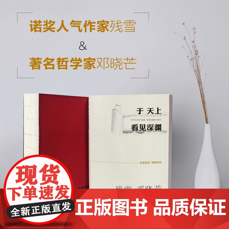 于天上看见深渊:新经典主义文学对话录 诺奖提名作家残雪&amp;著名哲学家邓晓芒,为文学的躯体注入哲学的灵魂高清大图