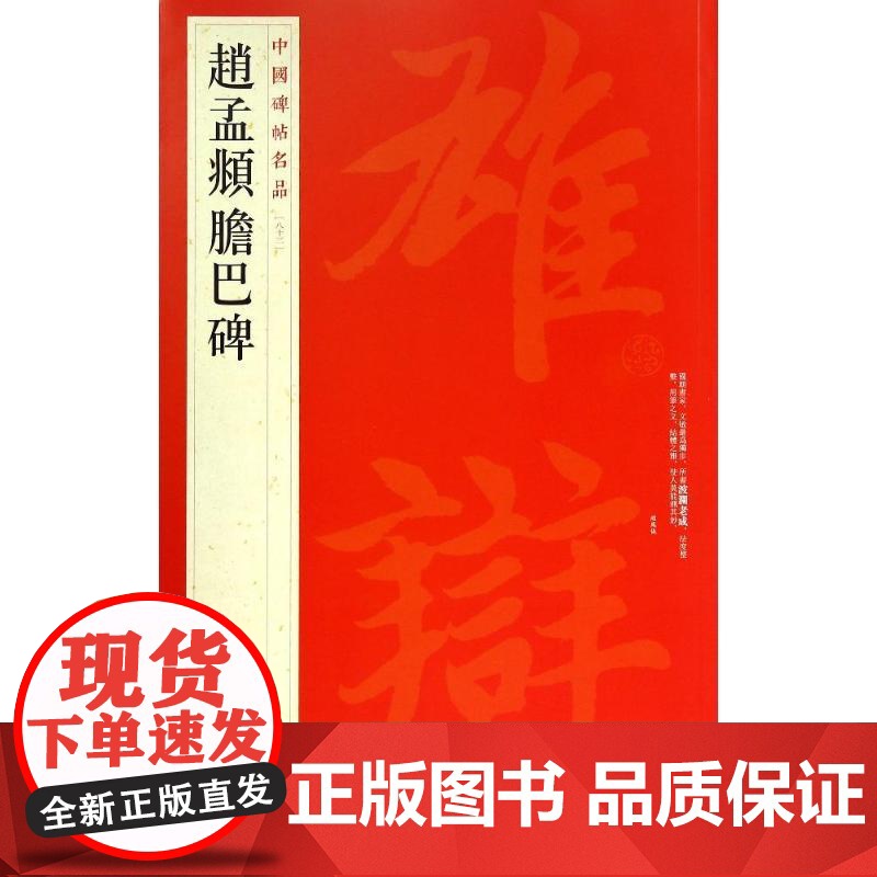 中国碑帖名品·赵孟頫胆巴碑 中国碑帖名品八十三83释文注释繁体旁注楷书毛笔字帖碑帖书法练习临摹技法楷书 上海书画出版社高清大图