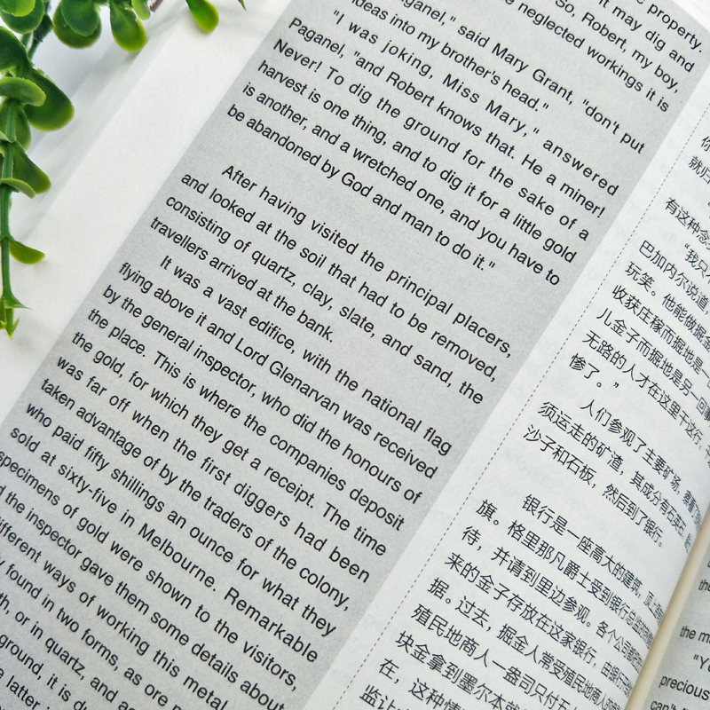 [醉染正版]英语大书虫 格兰特船长的儿女们英汉对照 世界名著精选 全套初中小学生青少年课外阅读物中英文双语对照中文版+英高清大图