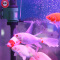 潜水泵多功能过滤板鱼缸抽水泵水族箱增氧过滤三合一水泵