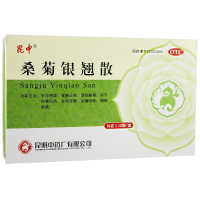 昆中药桑菊银翘散10克*12袋 昆明中药