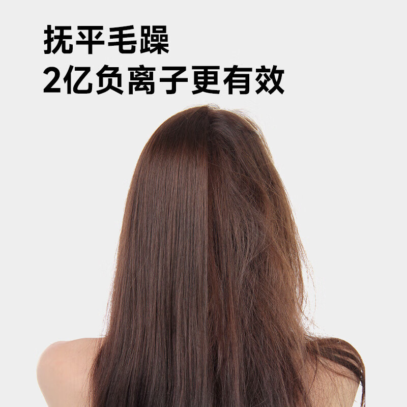 追觅(DREAME)极光SE高速吹风机家用电吹风离子大风力低噪音 极光SE白色(官方标配)G10高清大图