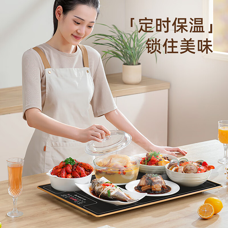 志高(CHIGO)暖菜板 热菜板保温板 加热菜板 加热桌垫 饭菜保温板长方形家用多功能餐桌热菜神器 QF02H高清大图