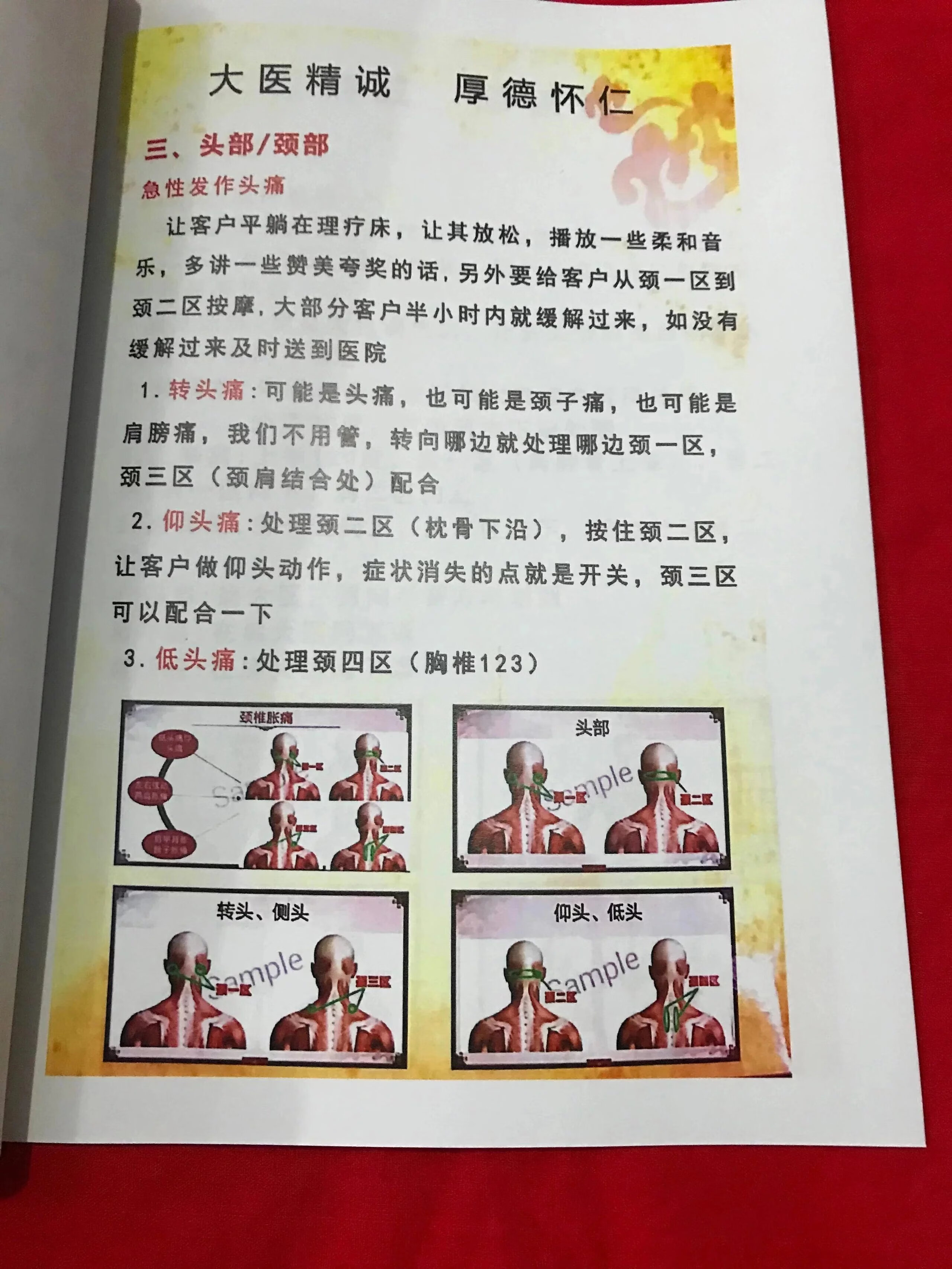 李红兵,李氏疼痛开关一手资料!实体书高清大图