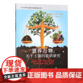 滋养万物：关于土壤的最新研究