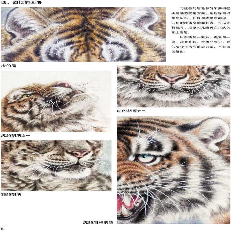 [正版]正邮 工笔猛兽技法 名家国画示范教程 徐文略 工笔国画 动物画法 中国画技法书籍 国画临摹范本画册画集作品集