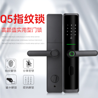 智能门锁 Q05C级锁芯 指纹锁电子锁家用门锁 防盗门锁密码锁 锁滴 黑色亮面