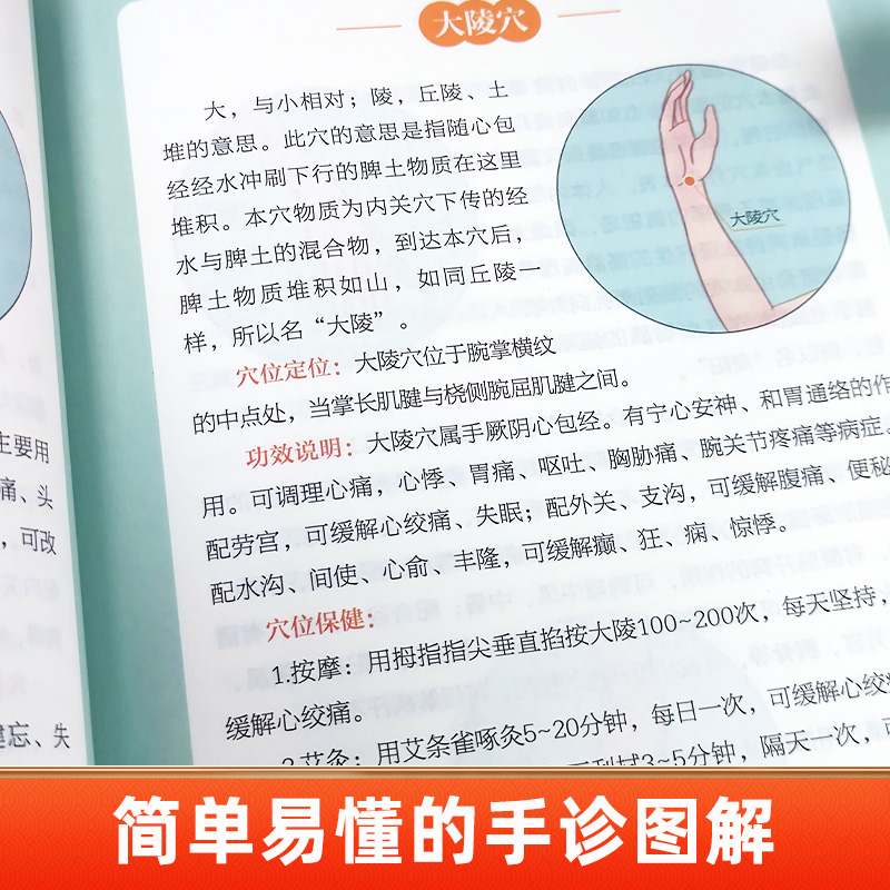 中医自学百日通 [正版]图解中医面诊手诊脉诊 中医望诊入门书籍 零基础学面诊手诊 中医舌诊临床图解图谱 中医看舌苔书 中高清大图