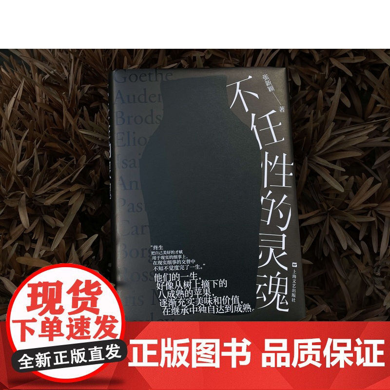 不任性的灵魂 鲁迅文学奖文津奖得主张新颖作品上海文艺出版社现当代文学另著读书这么好的事/三行集高清大图
