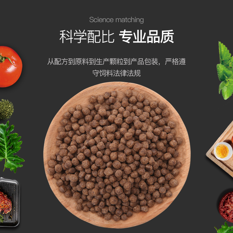 白金蝴蝶锦鲤专用鱼食观赏鱼主粮颗粒饲料食物增白靓鳞增体不浑水高清大图