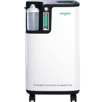 欧格斯医用低噪款6L制氧机非雾化套餐一