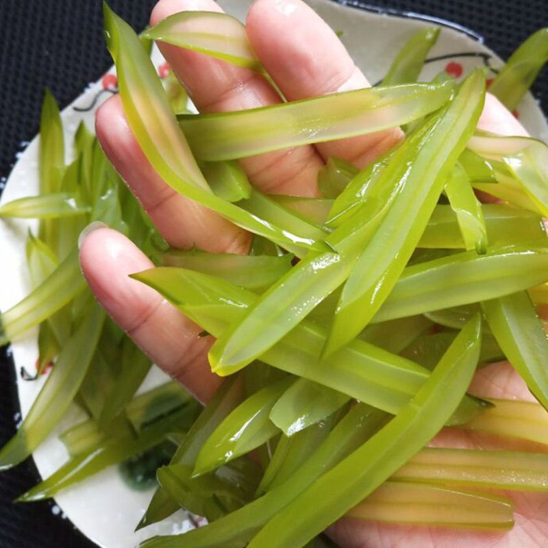 盐渍海白菜厚裙带梗新鲜 裙带菜非干货梗段整箱批发 二级梗5斤
