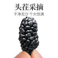 暖民 桑葚干250克x2罐装四川攀枝花特产级新鲜野生黑桑葚果无沙桑椹干泡水泡茶 桑果子泡酒料做桑葚膏