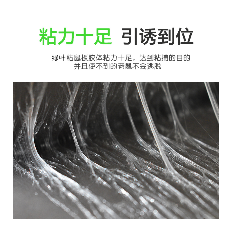 PATIA visionaries 帕蒂亚 绿叶粘鼠板|GL1003粘鼠板|固体 粘鼠板