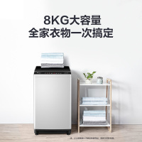 [正品保障]小天鹅(LittleSwan)TB80V23H 8公斤 波轮洗衣机全自动 免清洗家用小型洗衣机智能迷你非变频
