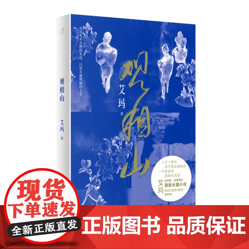 观相山 艾玛全新长篇小说 林白、张炜、李洱赞赏 从没有不合理的生活 只有不被理解的人生 中国当代小说 长江文艺出版社高清大图